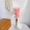 Dried Flowers Pampas Grass Mixed Bunny Rabbit Tail Lagurus Bouquet Wedding Christmas Decoration Natural Reed Flower Home Decora