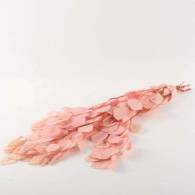 Freshly Preserved Eucalyptus Leaf Bunch (Color: Light Pink)